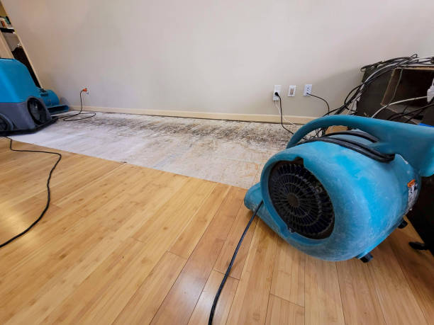 Professional Structural Drying technician working in North Richland Hills, TX